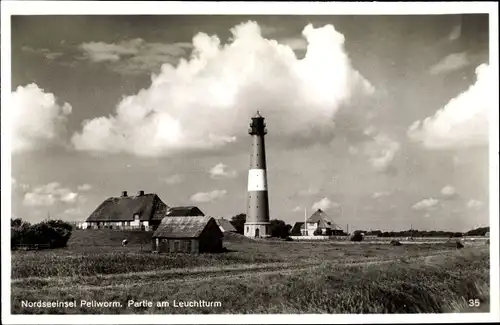 Ak Pellworm, Leuchtturm mit Häusern, Wiese