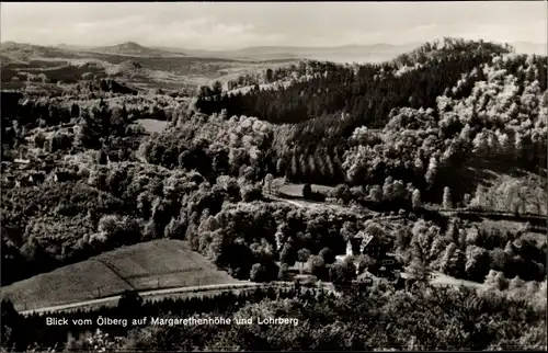 Ak Königswinter am Rhein, Oelberg, Panorama, Margarethenhöhe, Lohrberg