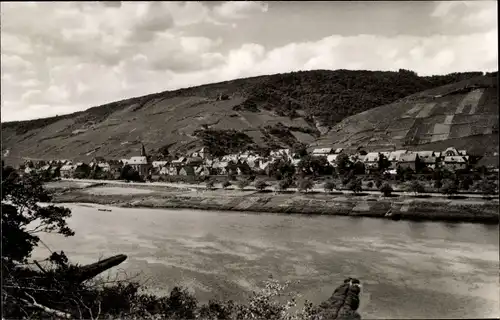 Ak Pommern Mosel Rheinland Pfalz, Panorama