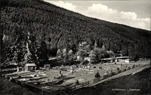 Ak Wildemann Clausthal Zellerfeld im Oberharz, Minigolfanlage