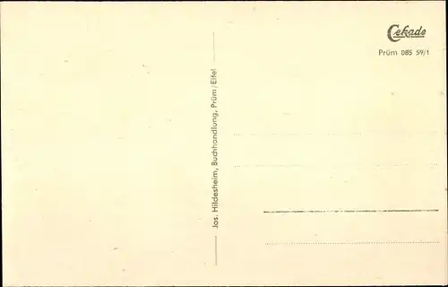 Ak Prüm in der Eifel, Panorama