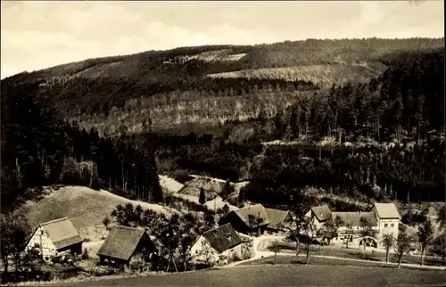 Ak Waldbrunn im Odenwald, Oberer Höllgrund