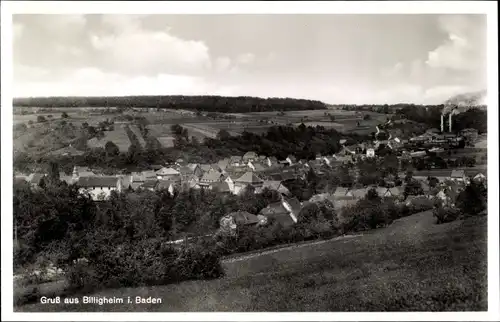 Ak Billigheim in Baden, Panorama