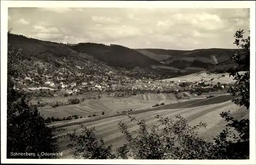 Ak Schneeberg im Odenwald Unterfranken, Panorama