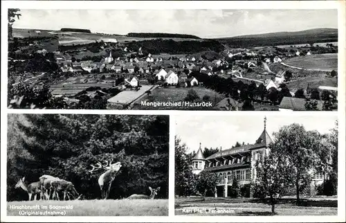 Ak Mengerschied im Hunsrück, Panorama, Hirschbrunft, Ferienheim Karl Pfaff
