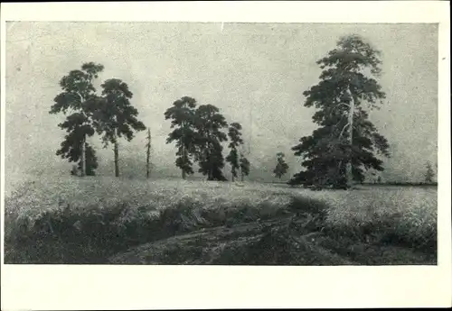 Künstler Ak Schischkin, I. I., Roggen, Feldmotiv, Bäume