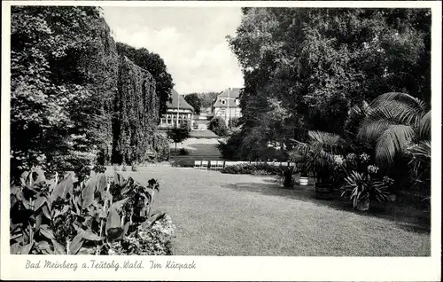 Ak Bad Meinberg am Teutoburger Wald, Im Kurpark