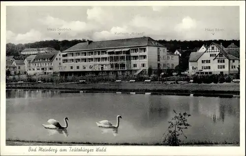 Ak Bad Meinberg am Teutoburger Wald, Kurheim Roland, Haus Stork, Haus Seeblick, Schwäne