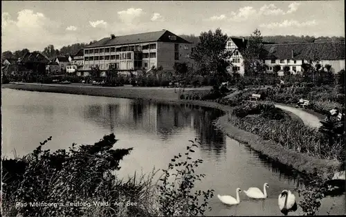 Ak Bad Meinberg am Teutoburger Wald, Am See, Heilbad