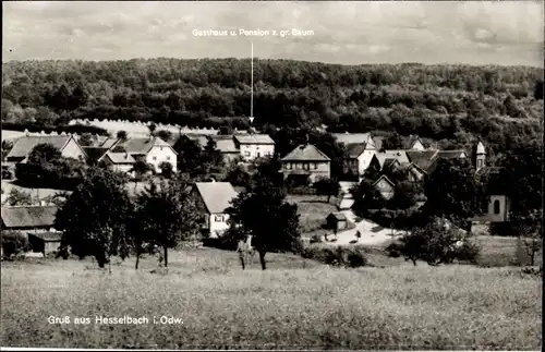 Ak Hesselbach Oberzent im Odenwald, Ort, Gasthof z. gr. Baum