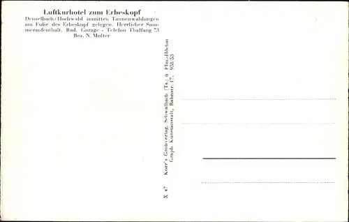 Ak Deuselbach im Hunsrück, Hotel zum Erbeskopf, Wald