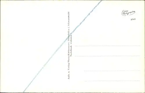 Ak Hinterseebach Seebach in Baden Schwarzwald, Häuser im Tal