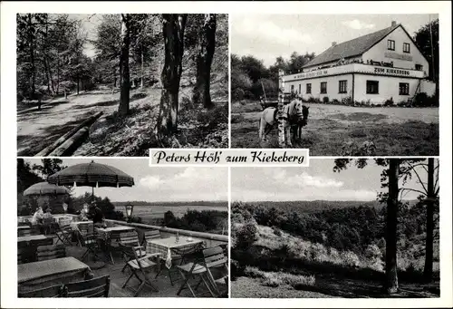 Ak Ehestorf Rosengarten in Niedersachsen, Peters Höh zum Kiekeberg, Waldpartie