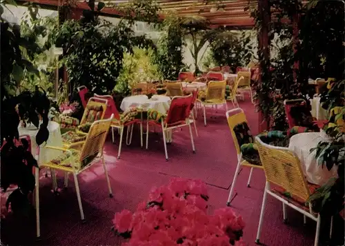 Ak Hansestadt Bremen, Café Subtropia, Gärtnerei Albert, Innenansicht, Vahrerstraße 239