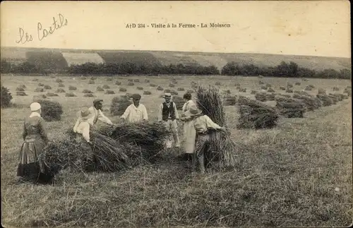 Ak Calvados Frankreich, Visite a la Ferme, La Moisson