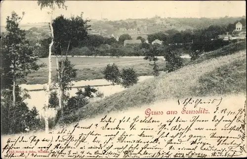 Ak Diesbar Seußlitz Nünchritz an der Elbe, Fernblick zum Ort