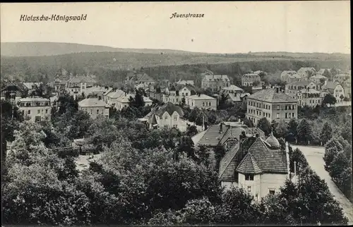 Ak Dresden Nord Klotzsche Königswald, Auenstraße