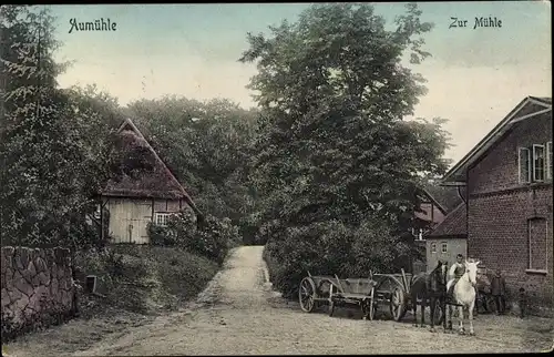 Ak Aumühle im Herzogtum Lauenburg, Zur Mühle, Pferde
