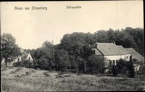 Ak Strausberg in der Mark, Schlagmühle