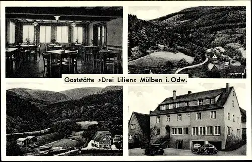 Ak Mülben Waldbrunn im Odenwald, Gasthof Drei Lilien, Teilansicht