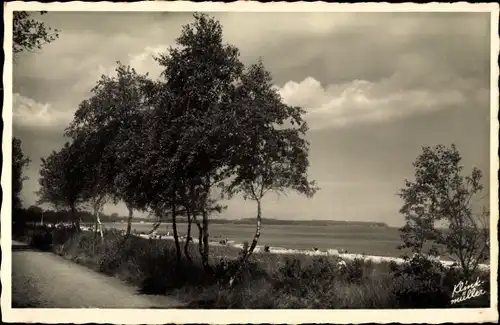 Ak Ostseebad Boltenhagen, Promenade