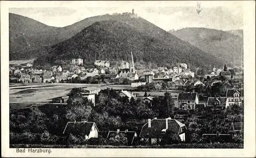 Ak Bad Harzburg am Harz, Panorama