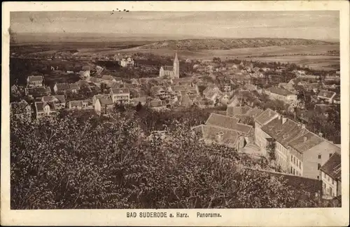 Ak Bad Suderode Quedlinburg im Harz, Panorama