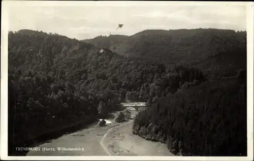 Ak Treseburg Thale im Harz, Wilhelmsblick