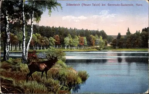 Ak Gernrode Quedlinburg im Harz, Silberteich