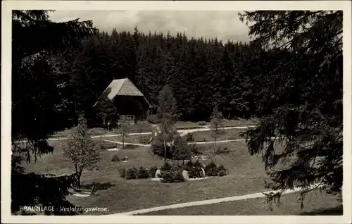 Ak Braunlage im Oberharz, Verlobungswiese