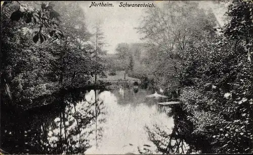 Ak Northeim in Niedersachsen, Schwanenteich