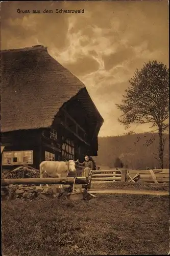 Ak Schwarzwald, Gruss aus dem Schwarzwald, Bauer mit Kuh