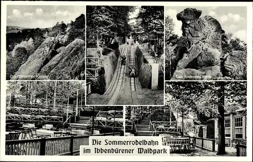 Ak Ibbenbüren im Tecklenburger Land, Partien an der Sommerrodelbahn im Ibbenbürener Waldpark