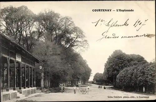 Ak Courtenay Loiret, L'Esplanade