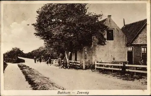 Ak Bakkum Nordholland Niederlande, Zeeweg