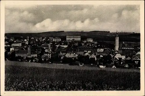 Ak Domažlice Taus Reg. Pilsen, Panorama