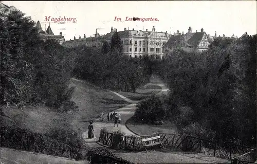 Ak Magdeburg in Sachsen Anhalt, Luisengarten