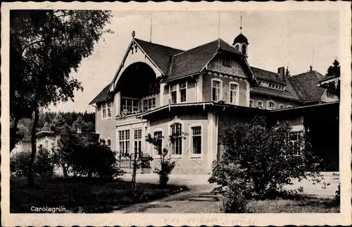 Ak Carolagrün Auerbach im Vogtland, Carolagrün