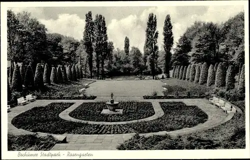 Ak Bochum im Ruhrgebiet, Stadtpark, Rosengarten