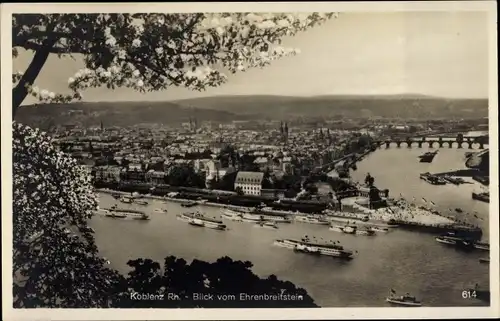Ak Koblenz am Rhein, Blick vom Ehrenbreitstein auf den Ort, Salondampfer