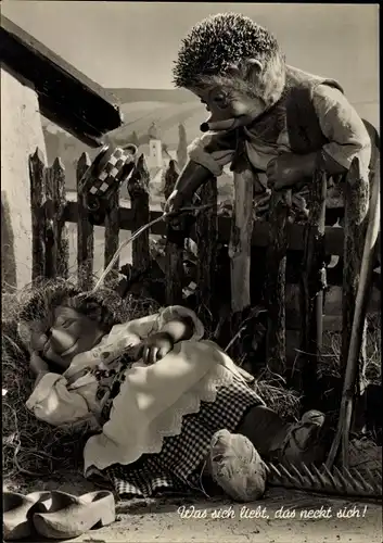 Ak Mecki der Igel, Was sich liebt, das neckt sich, Schlafende Igelin