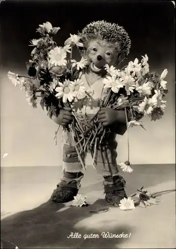Ak Mecki der Igel, Glückwunsch, Blumenstrauß, Margeriten