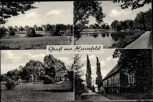 Ak Harsefeld in Niedersachsen, Freibad, Gebäude, Landschaft