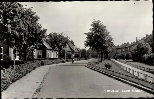 Ak Oldemarkt Overijssel, Zwarte hofslaan