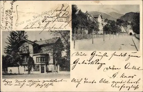 Ak Zwingenberg an der Bergstraße in Hessen, Ortsansichten