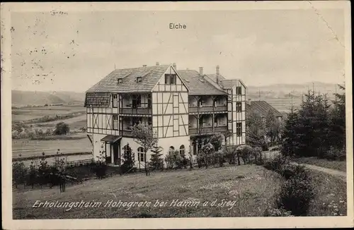 Ak Hohegrete Pracht im Westerwald, Erholungsheim, Eiche