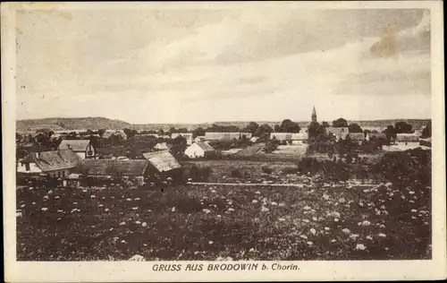 Ak Brodowin Chorin im Kreis Barnim, Panorama