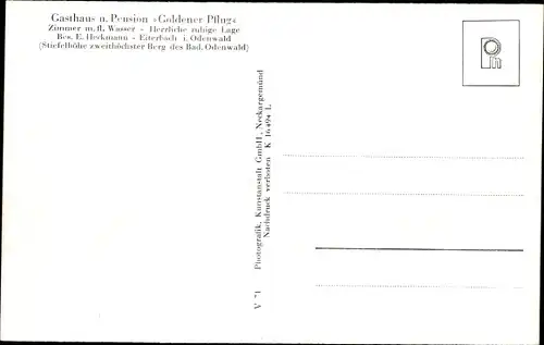 Ak Eiterbach Heiligkreuzsteinach Odenwald, Fliegeraufnahme, Gasthaus Goldener Pflug