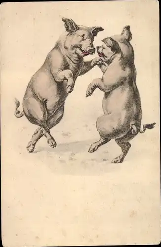 Ak Schweinepaar beim Tanz