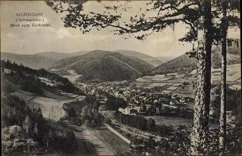 Ak Sitzendorf in Thüringen, Blick vom Sorbitztal